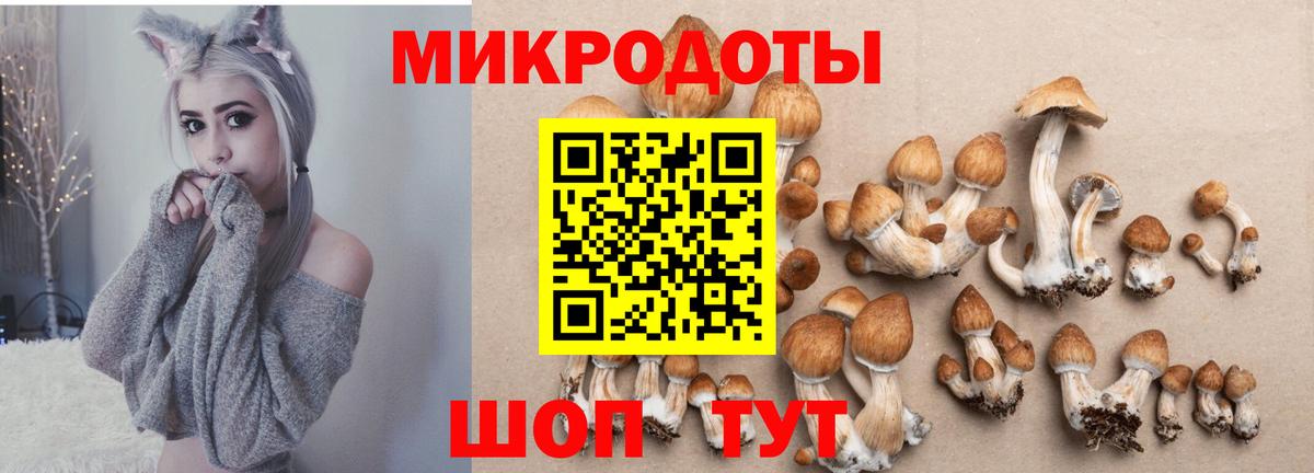 купить  сайты  Галлюциногенные грибы Magic Shrooms  Псилоцибиновые грибы MAGIC MUSHROOMS  Вход с VPN  Кирово-Чепецк 