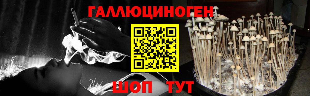 Галлюциногенные грибы мицелий Кирово-Чепецк